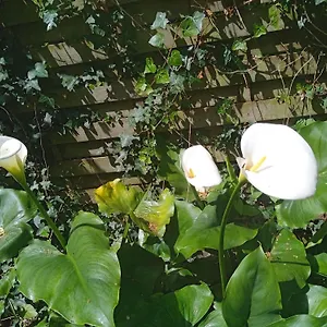 Joli Studio Avec Son Jardin Privatif Rennes